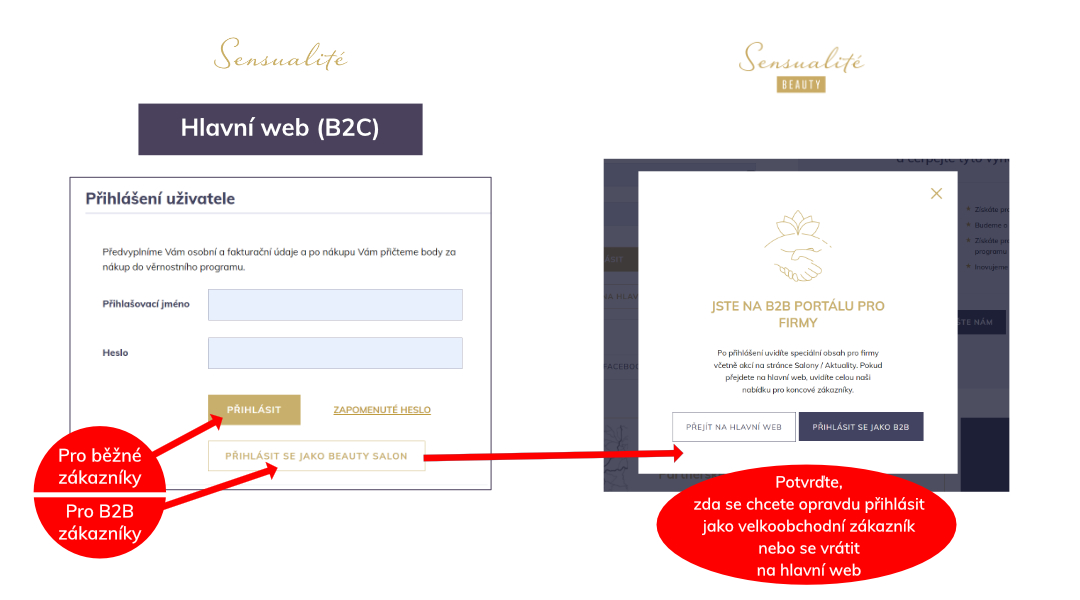 návod k přihlášení b2b