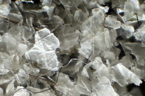 odumreté buňky pleti